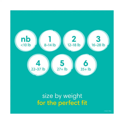 Open Box (Final Sale) - Pampers Baby Dry Diapers