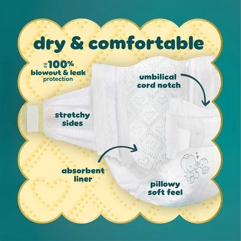 Pampers Swaddlers Gift Pack Disposable Diapers - Size 0-6 - 8pk