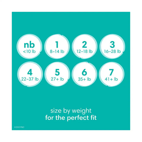 Open Box (Final Sale) - Pampers Baby Dry Diapers